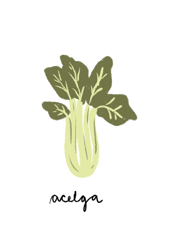 Acelga