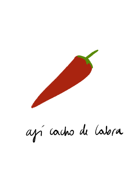 Aji cacho de cabra