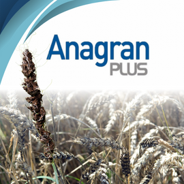 Fungicida ANAGRAN PLUS 1Kg