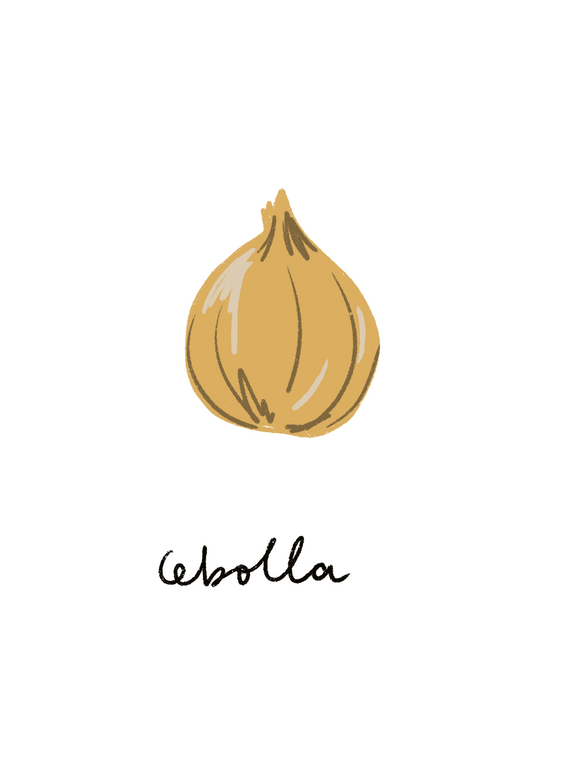 Cebolla