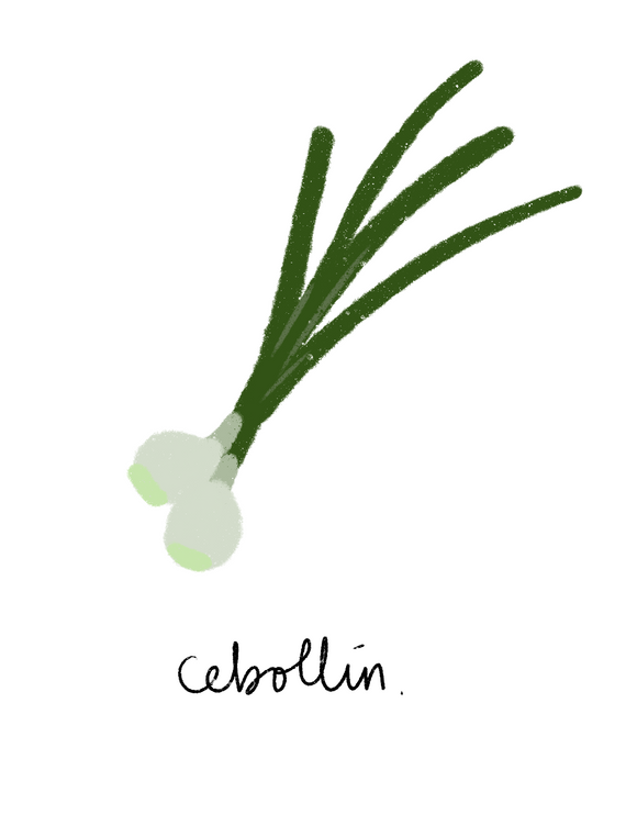 Cebollin