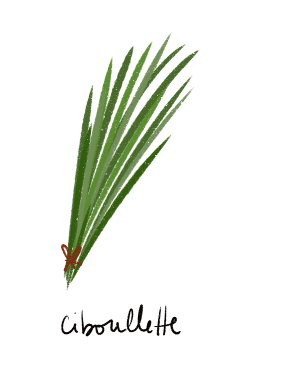 Ciboullette