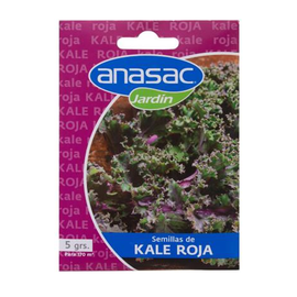 Semilla Kale Rojo