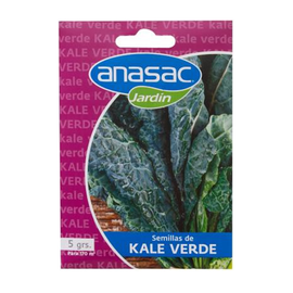 Semilla Kale Verde