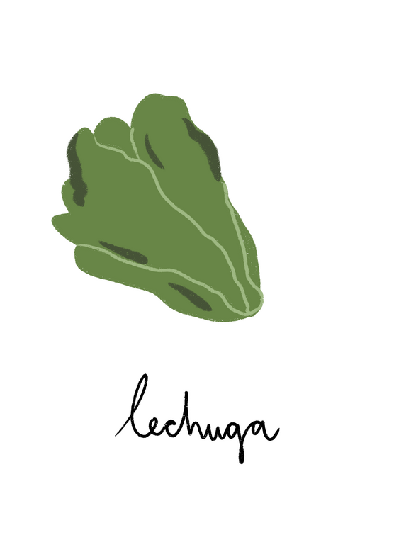 Lechuga