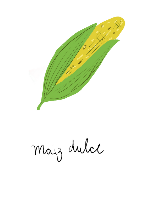 Maiz dulce
