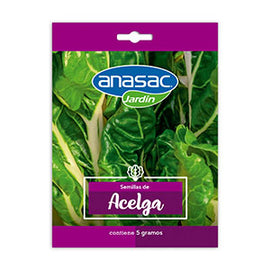 Semilla Acelga