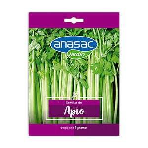 Semilla Apio