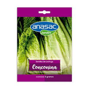 Semilla Lechuga Conconina