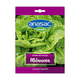 Semilla Lechuga Milanesa