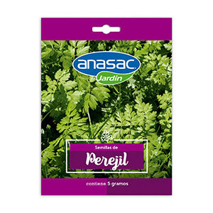 Semilla Perejil