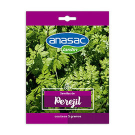 Semilla Perejil