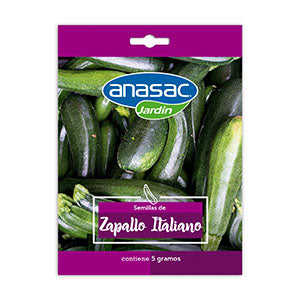 Semilla Zapallo Italiano