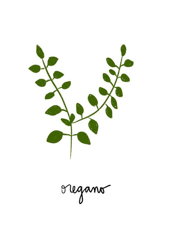 Oregano