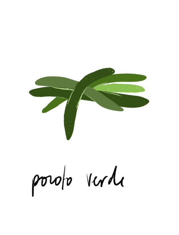 Poroto verde