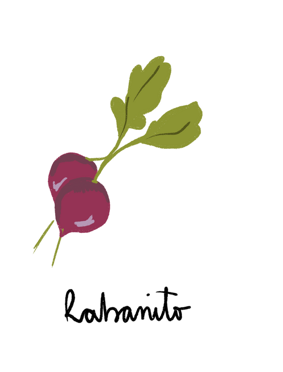 Rabanito