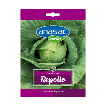 Semilla Repollo