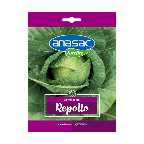 Semilla Repollo
