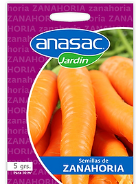 Semilla Zanahoria