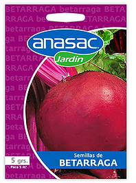 Semilla Betarraga