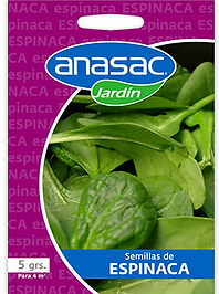 Semilla Espinaca
