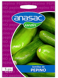 Semilla Pepino