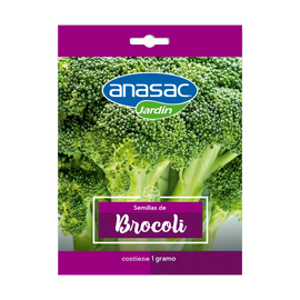 Semilla  Brocoli