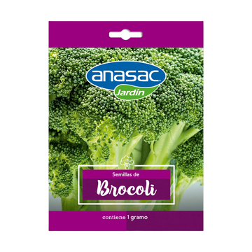 Semilla  Brocoli