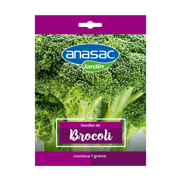 Semilla  Brocoli