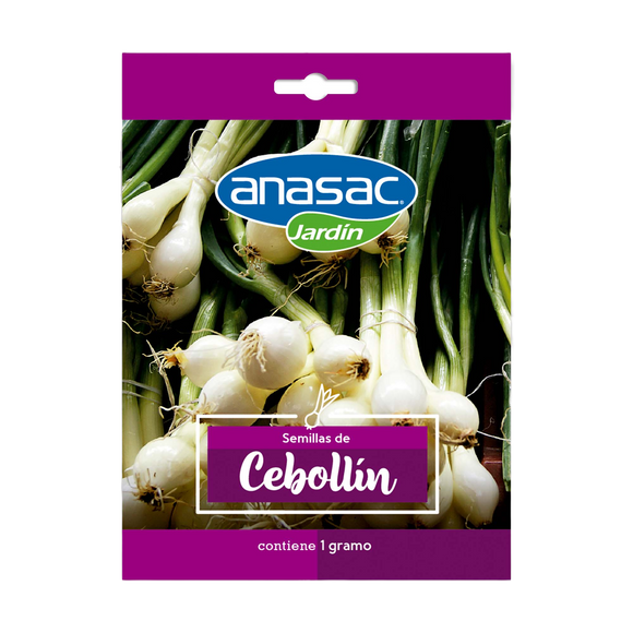 Semilla Cebollín