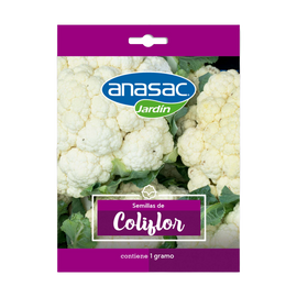 Semilla Coliflor