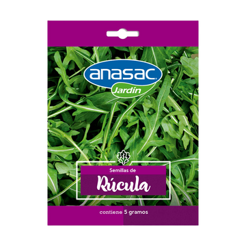 Semilla Rúcula