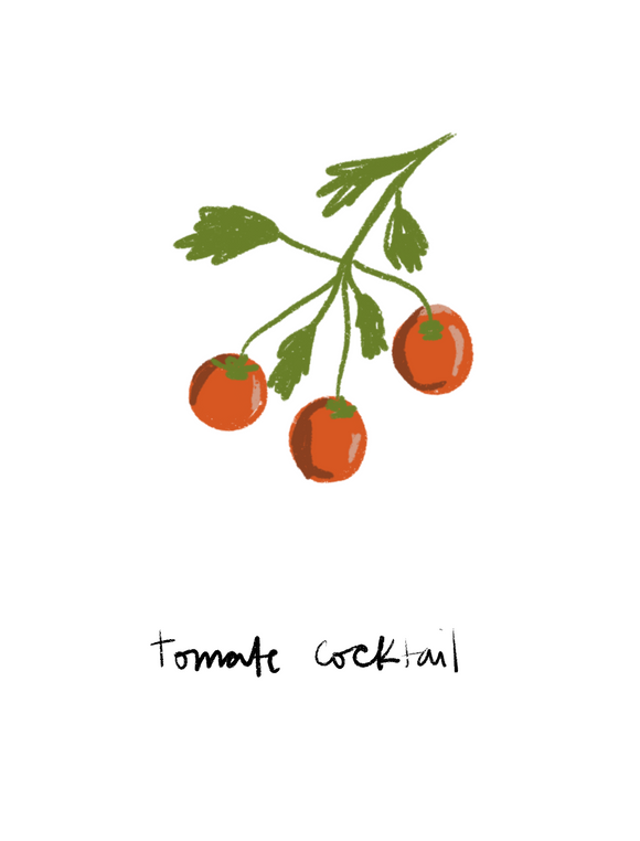 Tomate cocotal