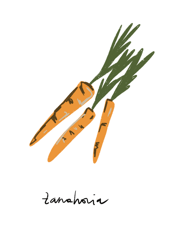 Zanahoria