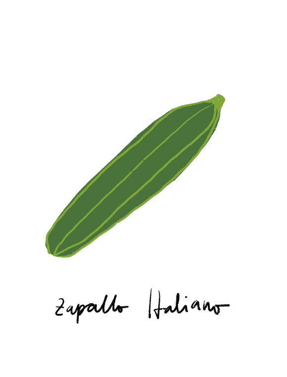 Zapallo italiano