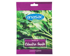 Semilla Cilantro Santo